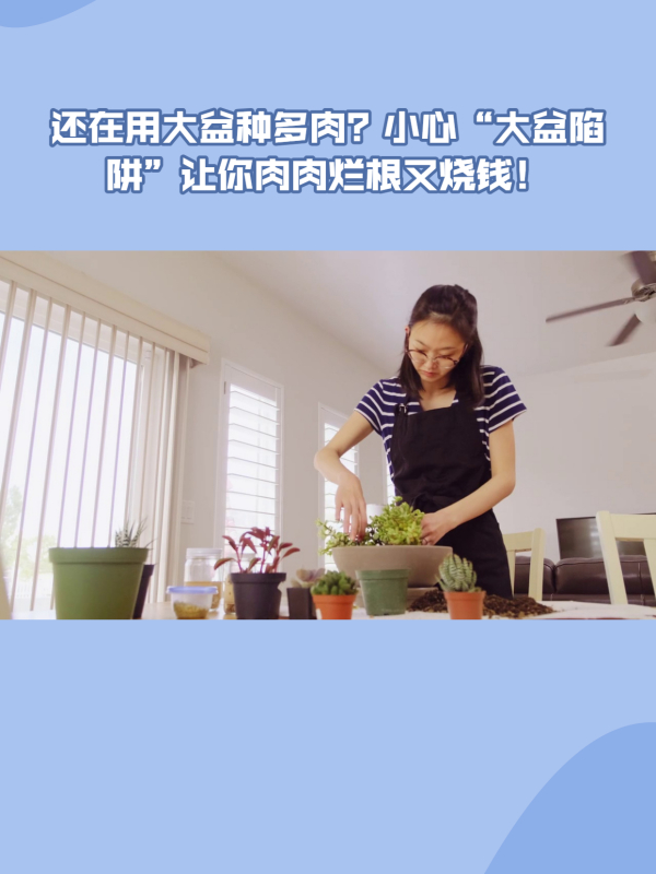 还在用大盆种多肉？小心“大盆陷阱”让你肉肉烂根又烧钱！