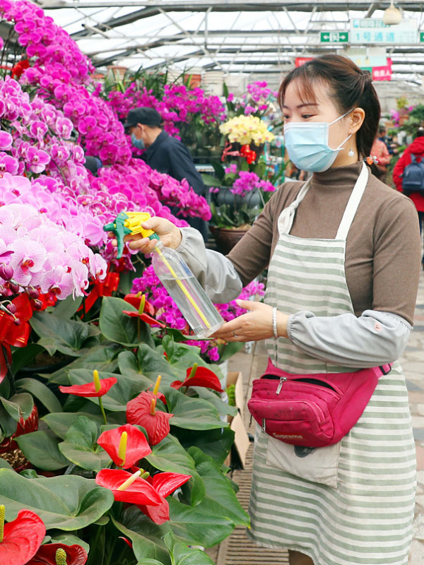 广州迎春花市将焕发新活力,市民春节出行新选择