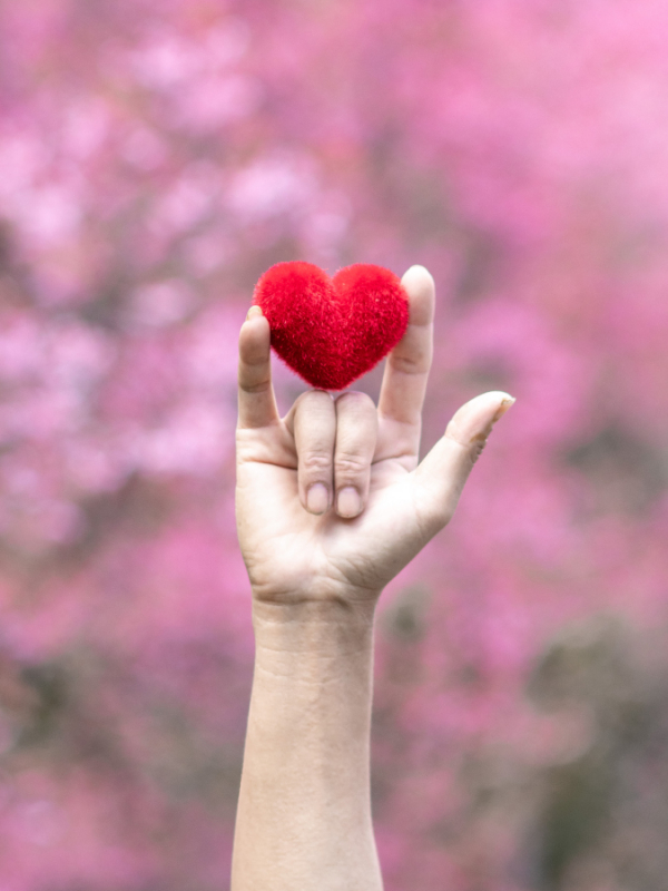 走进内心,感受深藏的爱