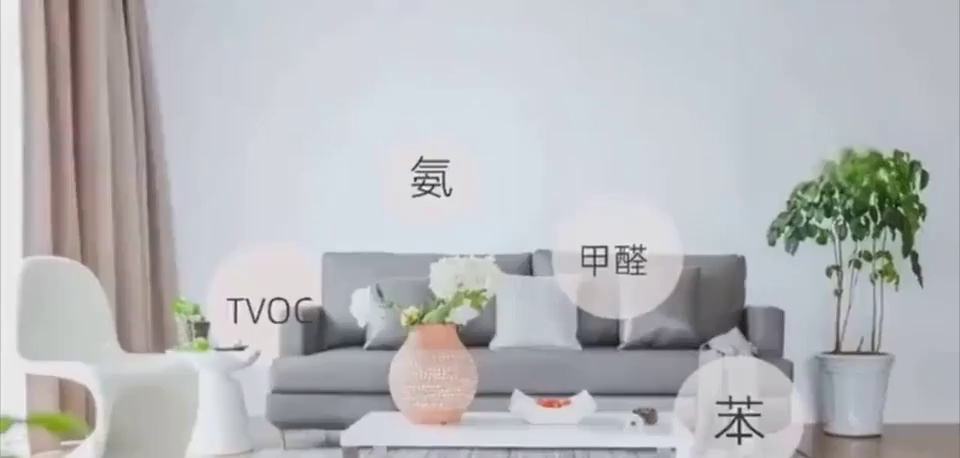 什么绿植吸收甲醛效果最好