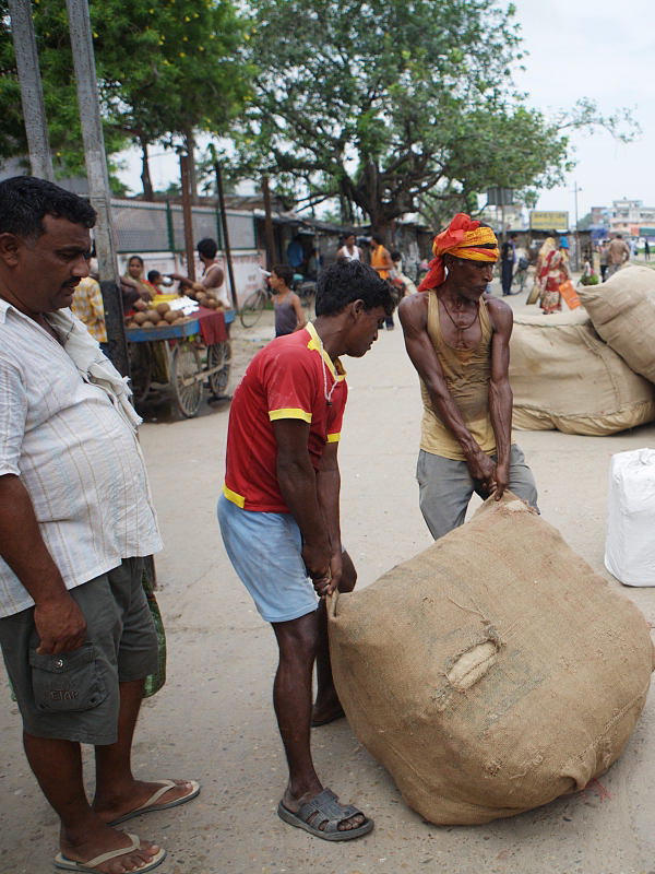 上林淘金客遭加纳黄金政府收割