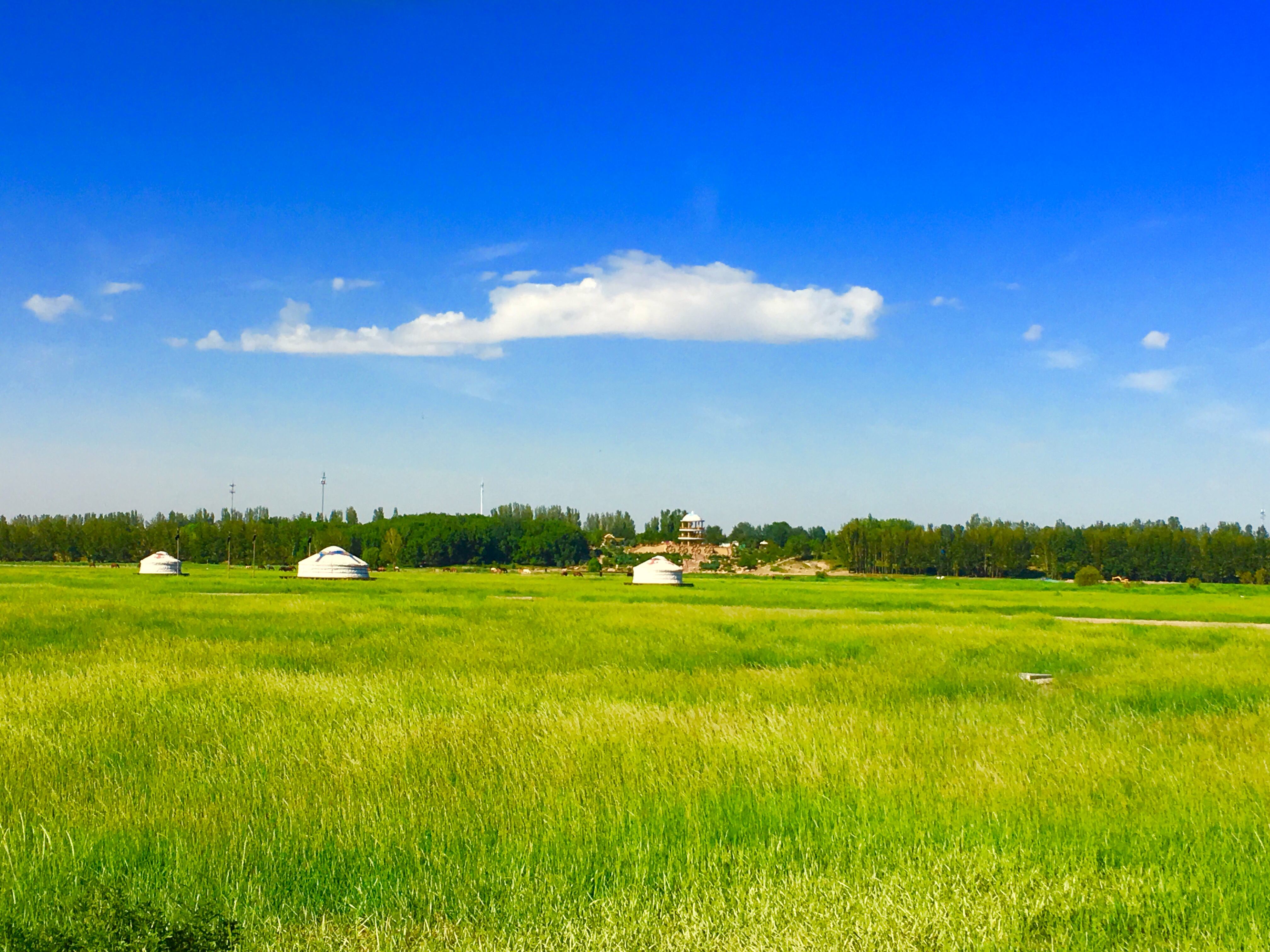 内蒙古包头市赛汗塔拉城中草原 #旅游景点#  [赛汗塔拉城中草原景点