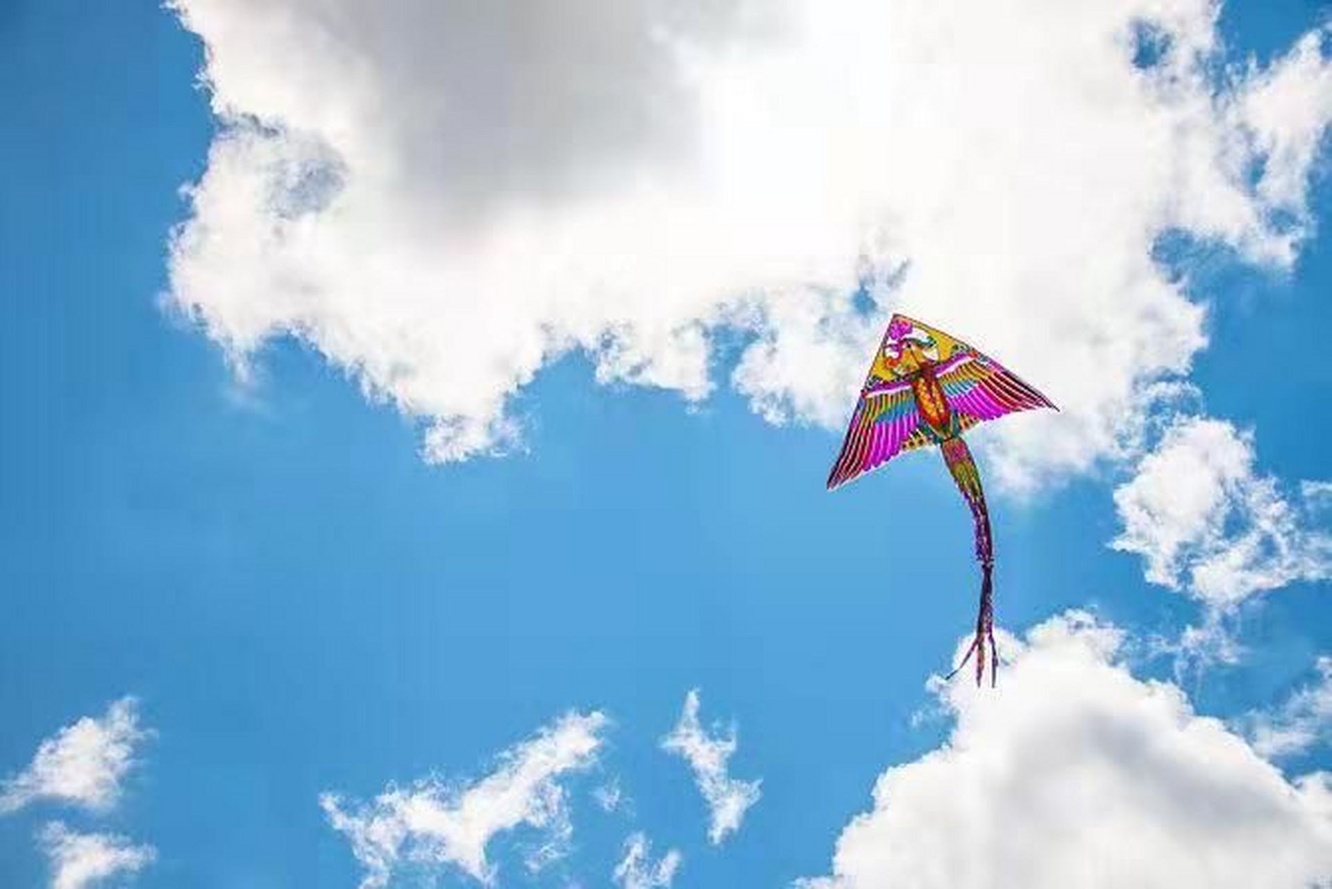 雄心壮志胸中怀, 驰骋天地底气足.