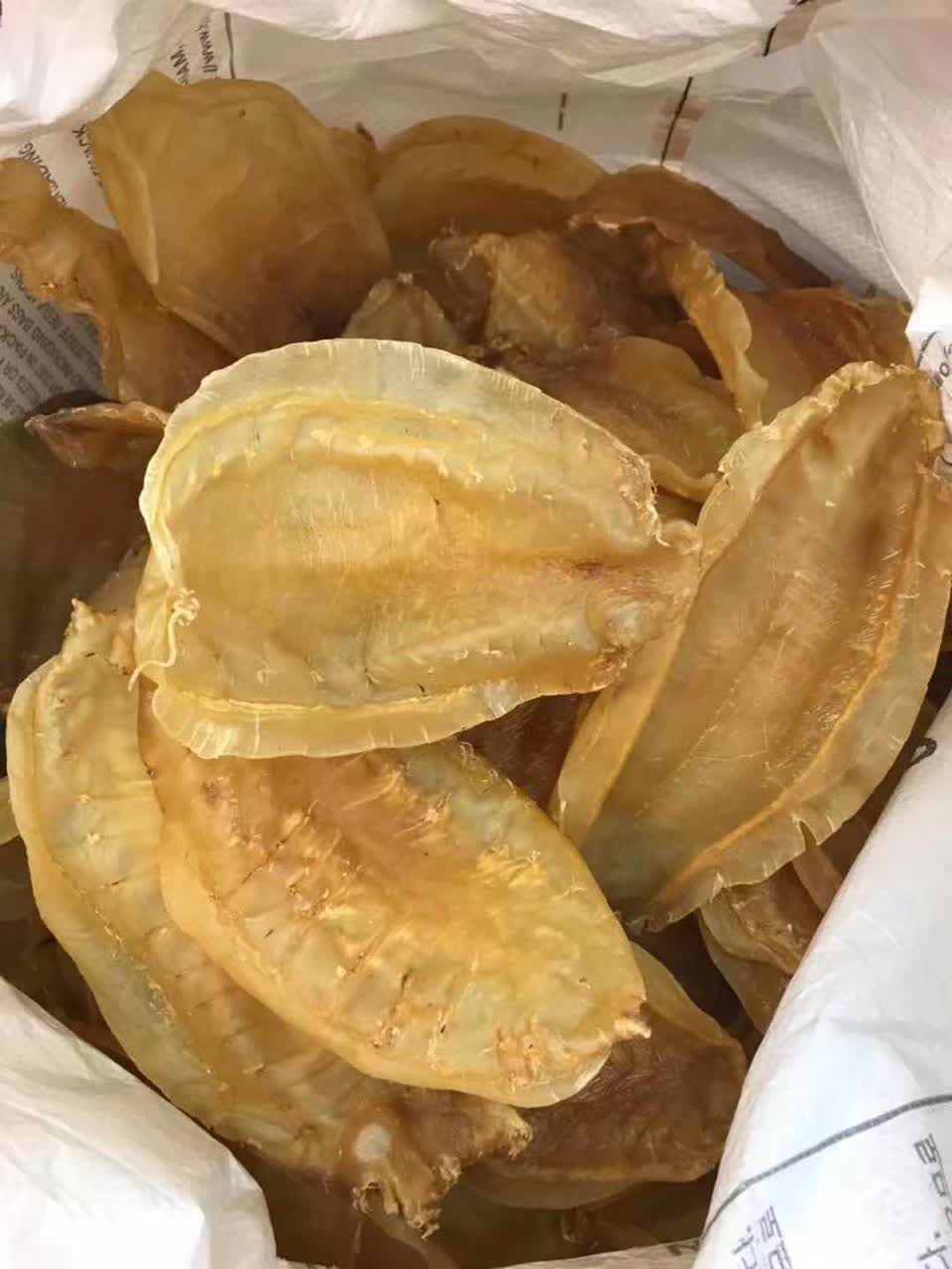 土鳘赤嘴胶,野生鱼胶中的超级明星