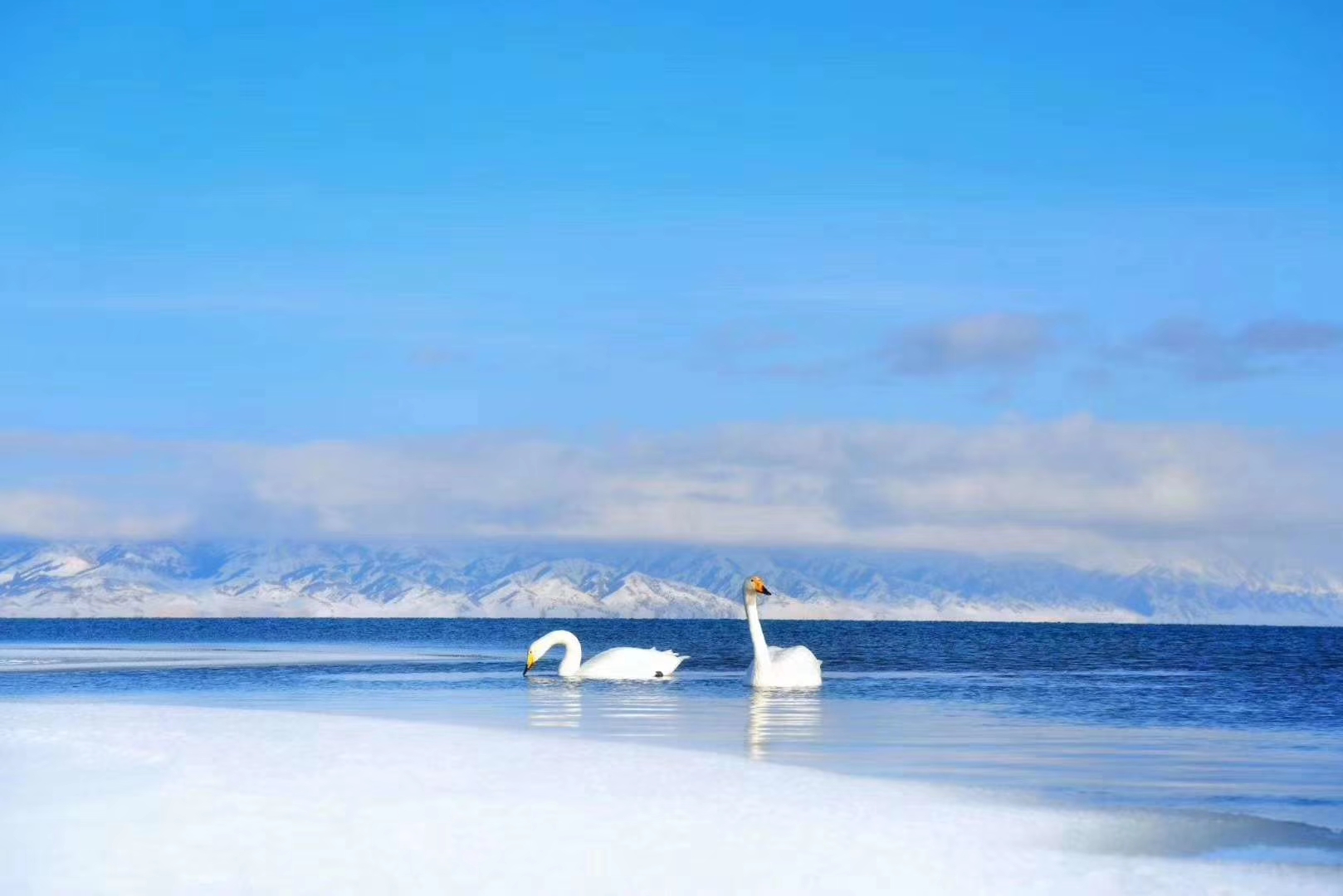 夏天的赛里木湖美不胜收, 但冬天的赛里木湖也绝不逊于它. 雪花飘飘, 