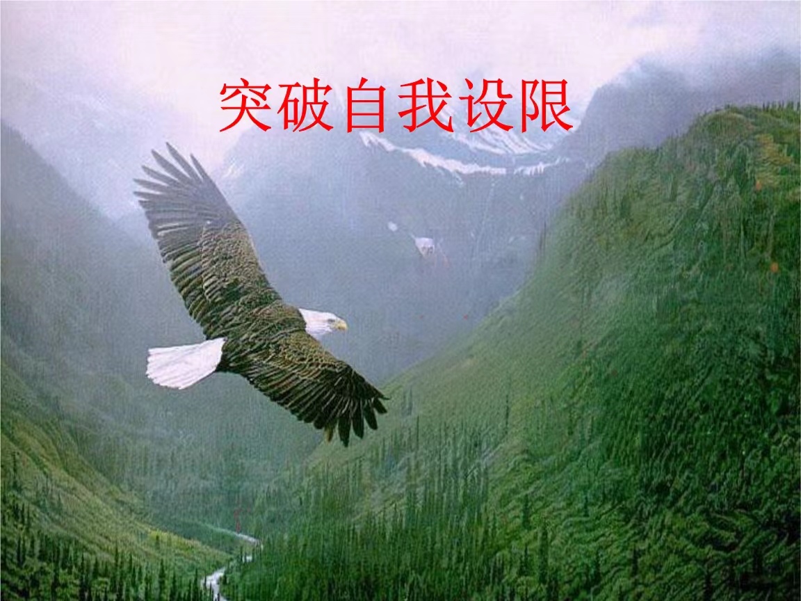 突破自我限制,努力成为更好的自己        在海洋动物园中,小孙子问:"