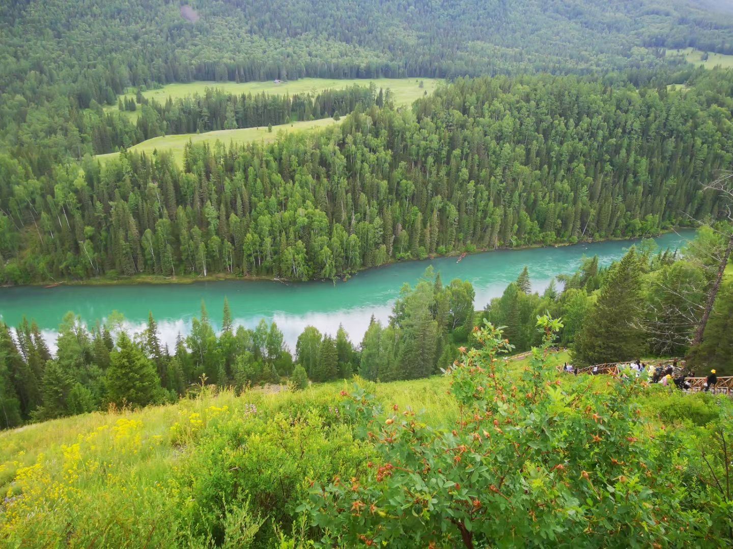 新疆喀纳斯三湾美景 新疆61阿勒泰61喀纳斯三湾         喀纳斯