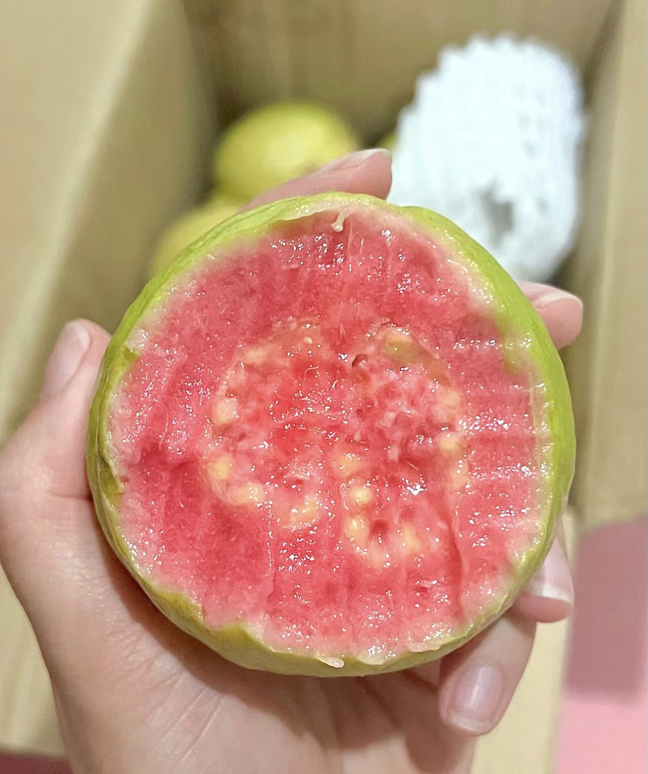 红心芭乐 红心芭乐,又称番石榴,是一种常见的热带水果.