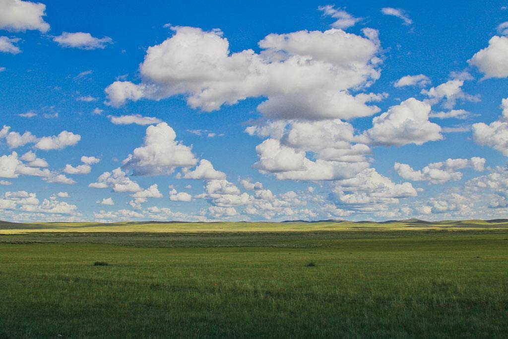 旅游景点# 希拉穆仁草原 希拉穆仁草原位于内蒙古自治区达尔罕茂明安