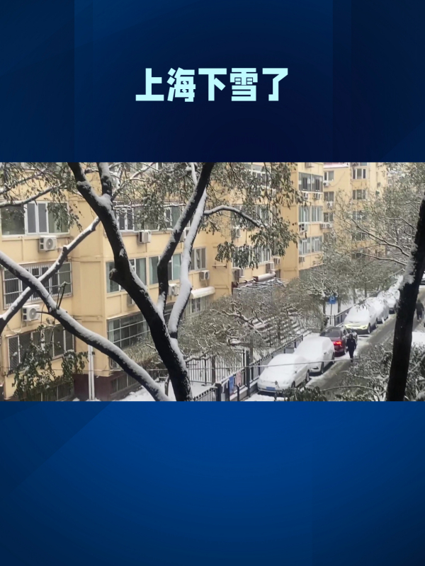 上海下雪了上海真的下雪了