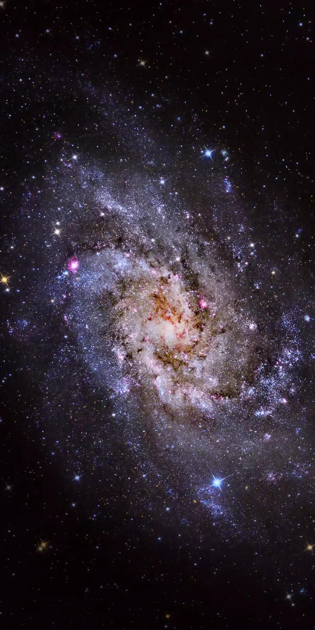 1080_2160竖版 竖屏