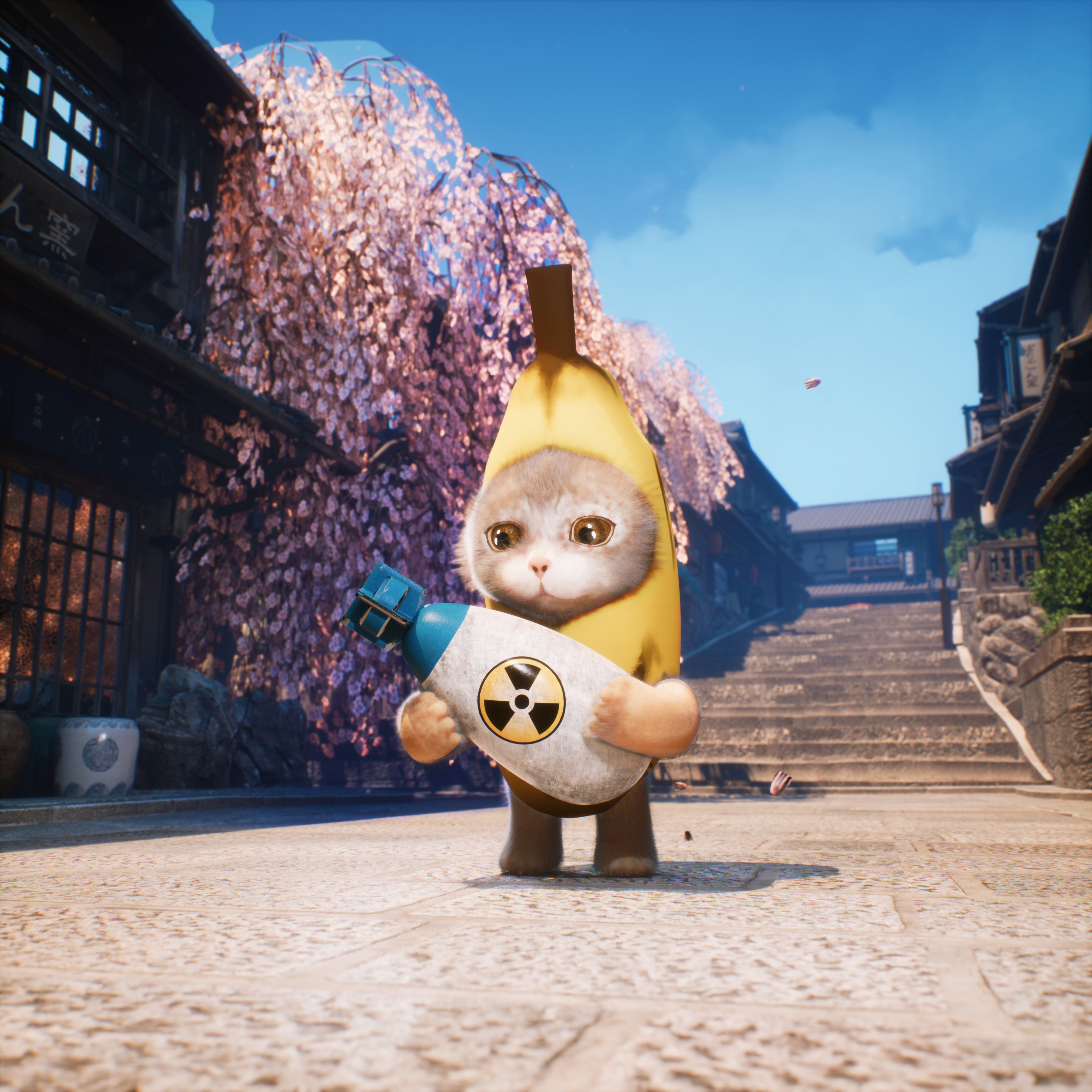 香蕉猫经历了一段成长历程,从遭遇挫折只会哭泣到后来学着坚强并成功