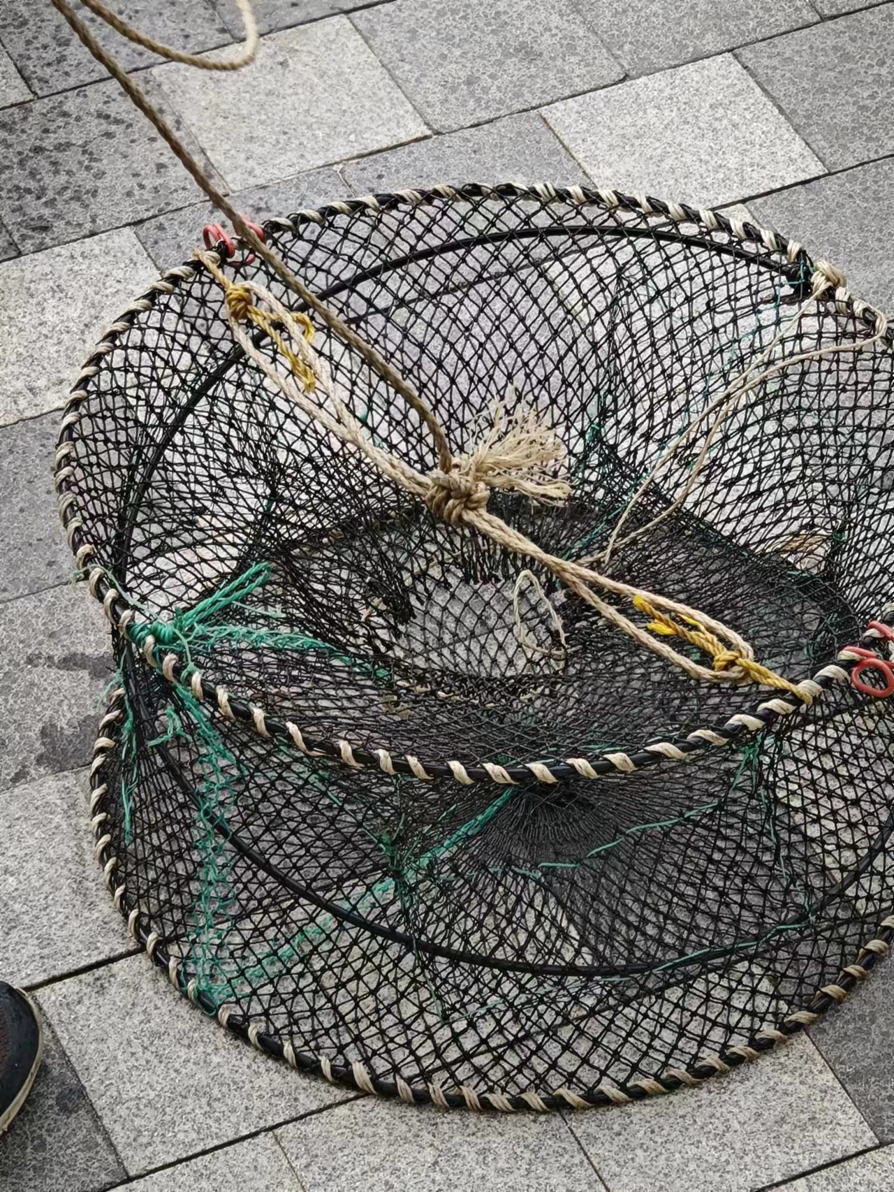 这里不仅有迷人的海景,还能看到渔民用笼子抓鱼,抓的鱼和螃蟹还不少