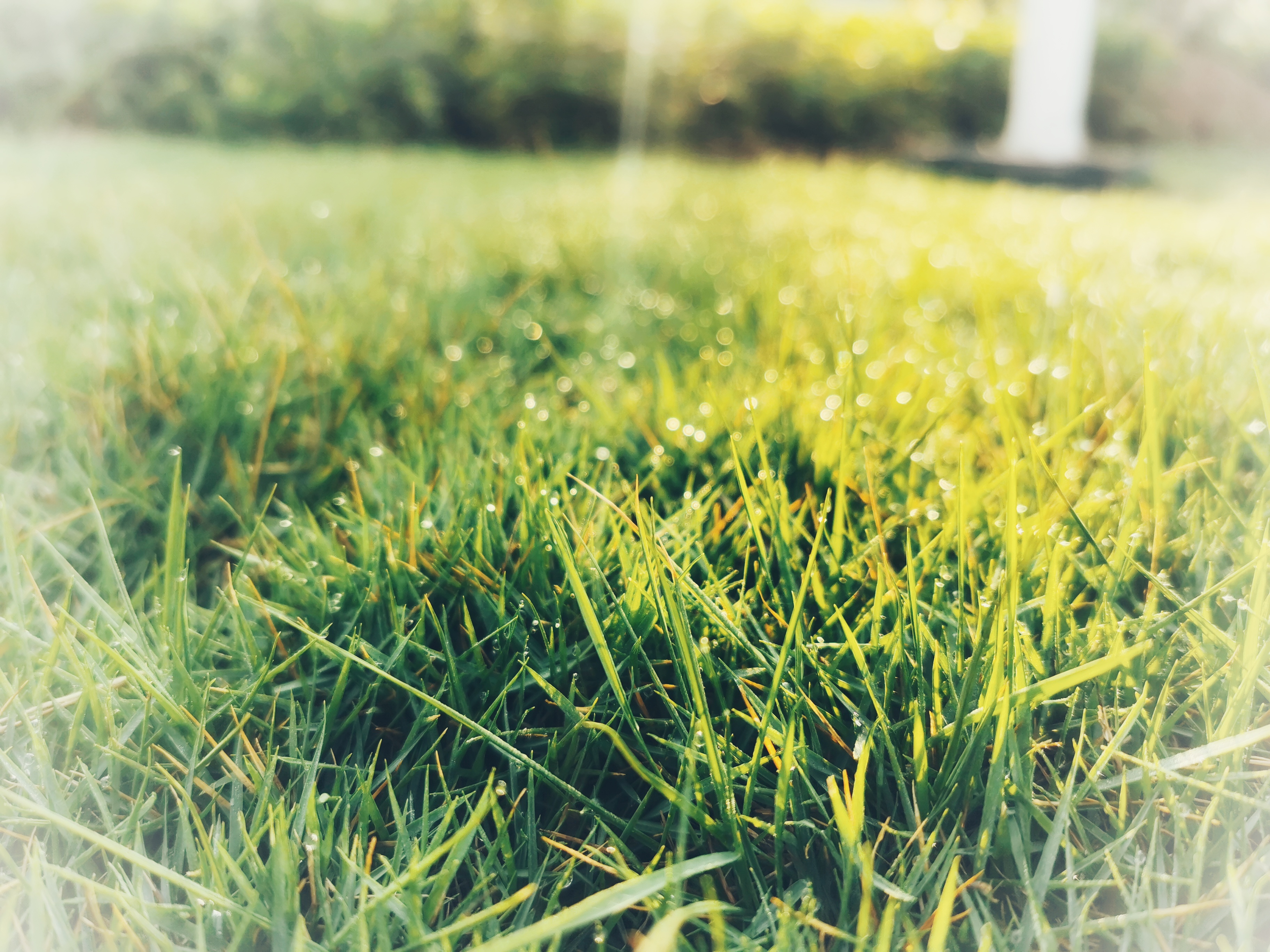 "少年的激情与创新之旅" 少年意气风发,立志创新, 心中激情澎湃,思绪