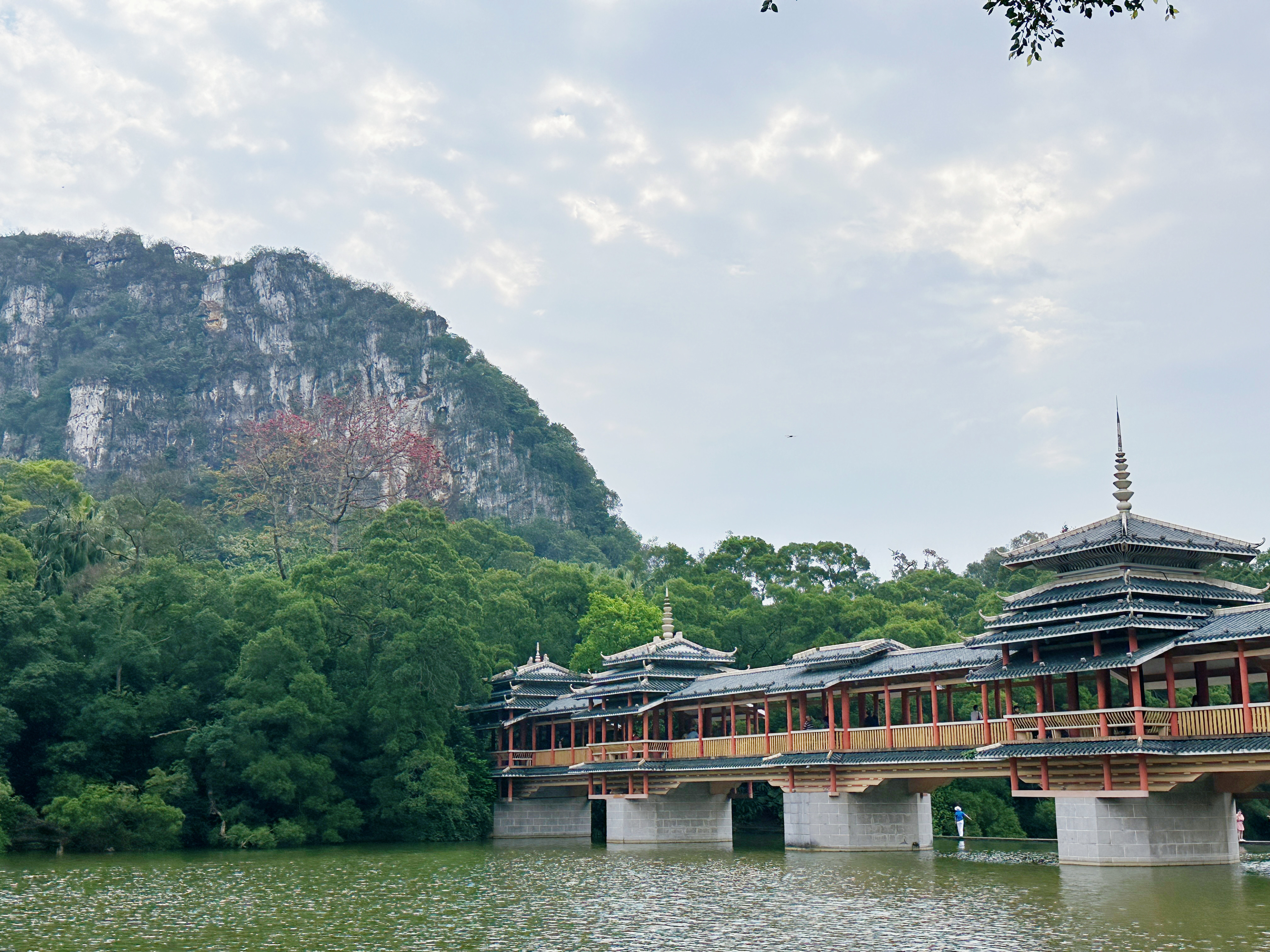 龙潭公园的雨后清新景色95 雨后的龙潭公园.