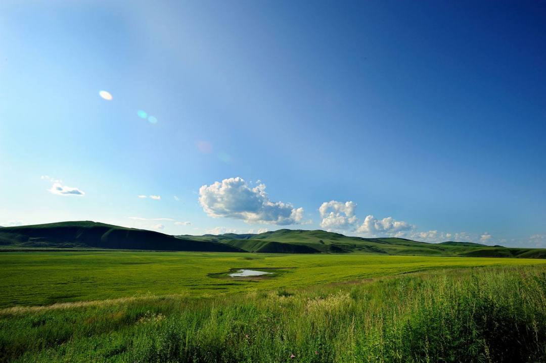 旅游景点# 希拉穆仁草原 希拉穆仁草原位于内蒙古自治区达尔罕茂明安