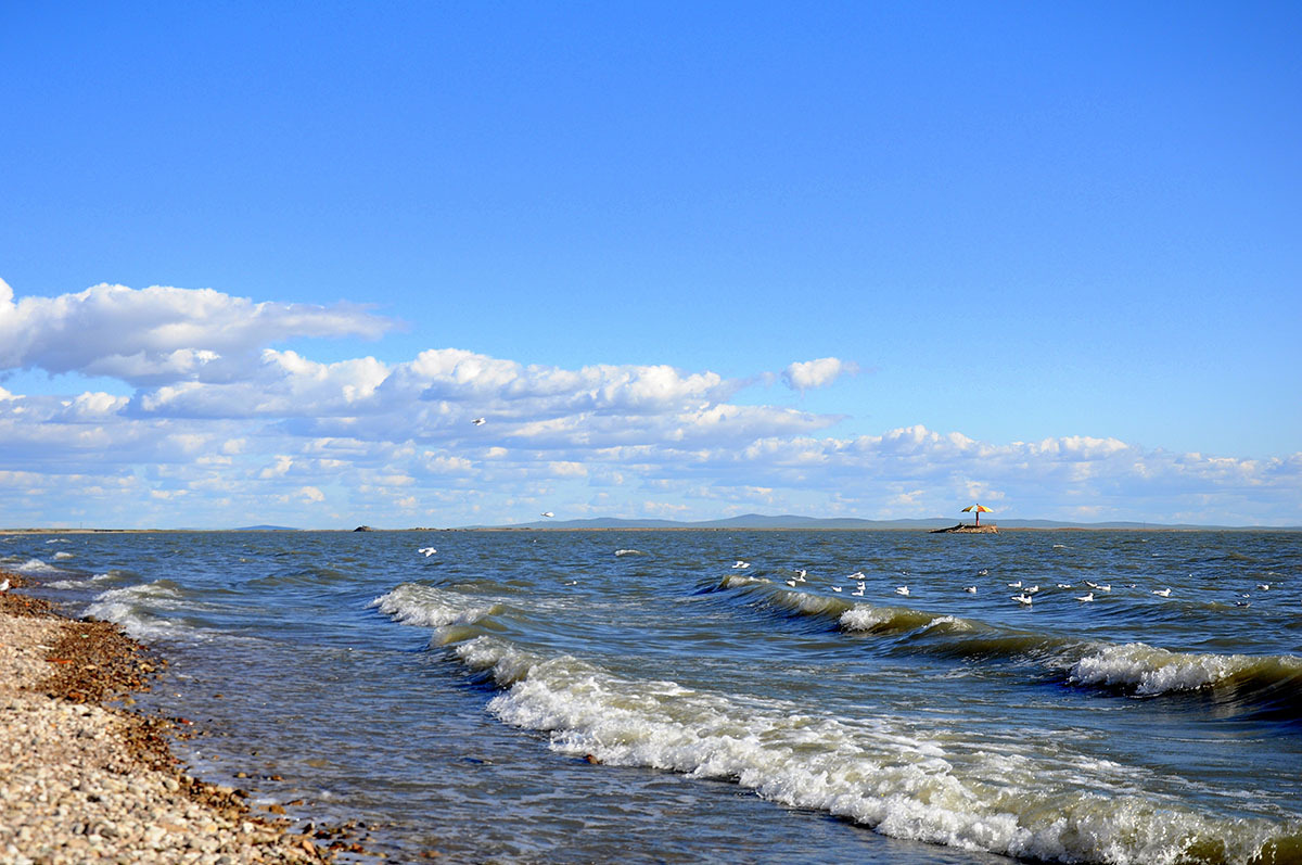 中国五大湖介绍 中国五大湖是指鄱阳湖,洞庭湖,太湖,青海湖和巢湖.