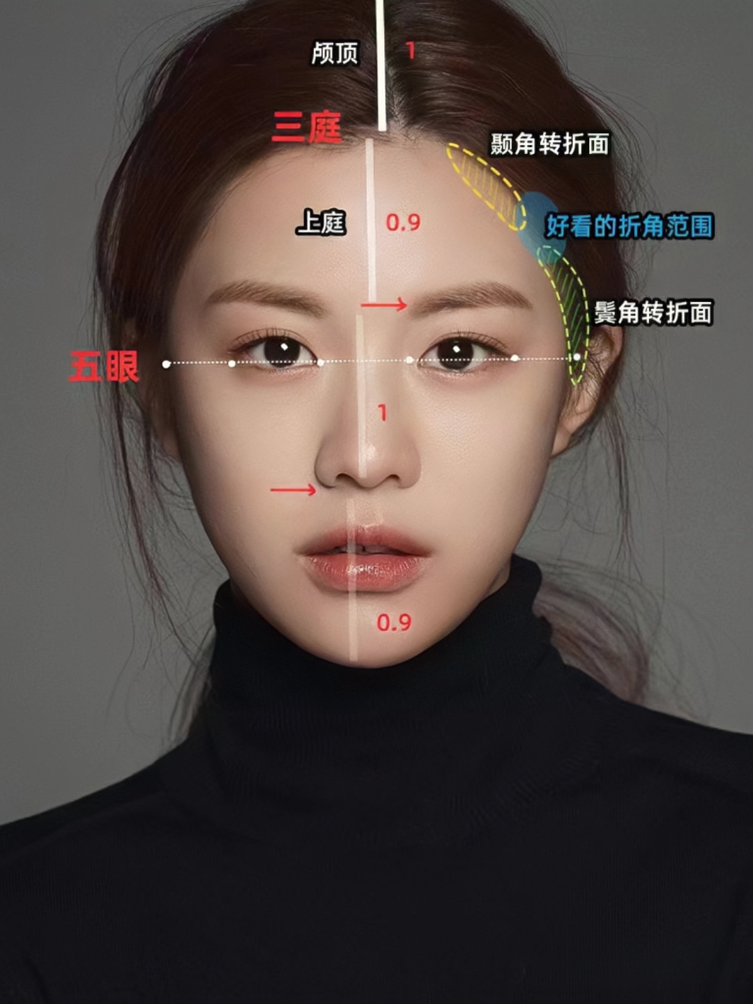 幼态脸的五大特征 第一大特征:面型是上边宽下边窄,上庭相对饱满,而