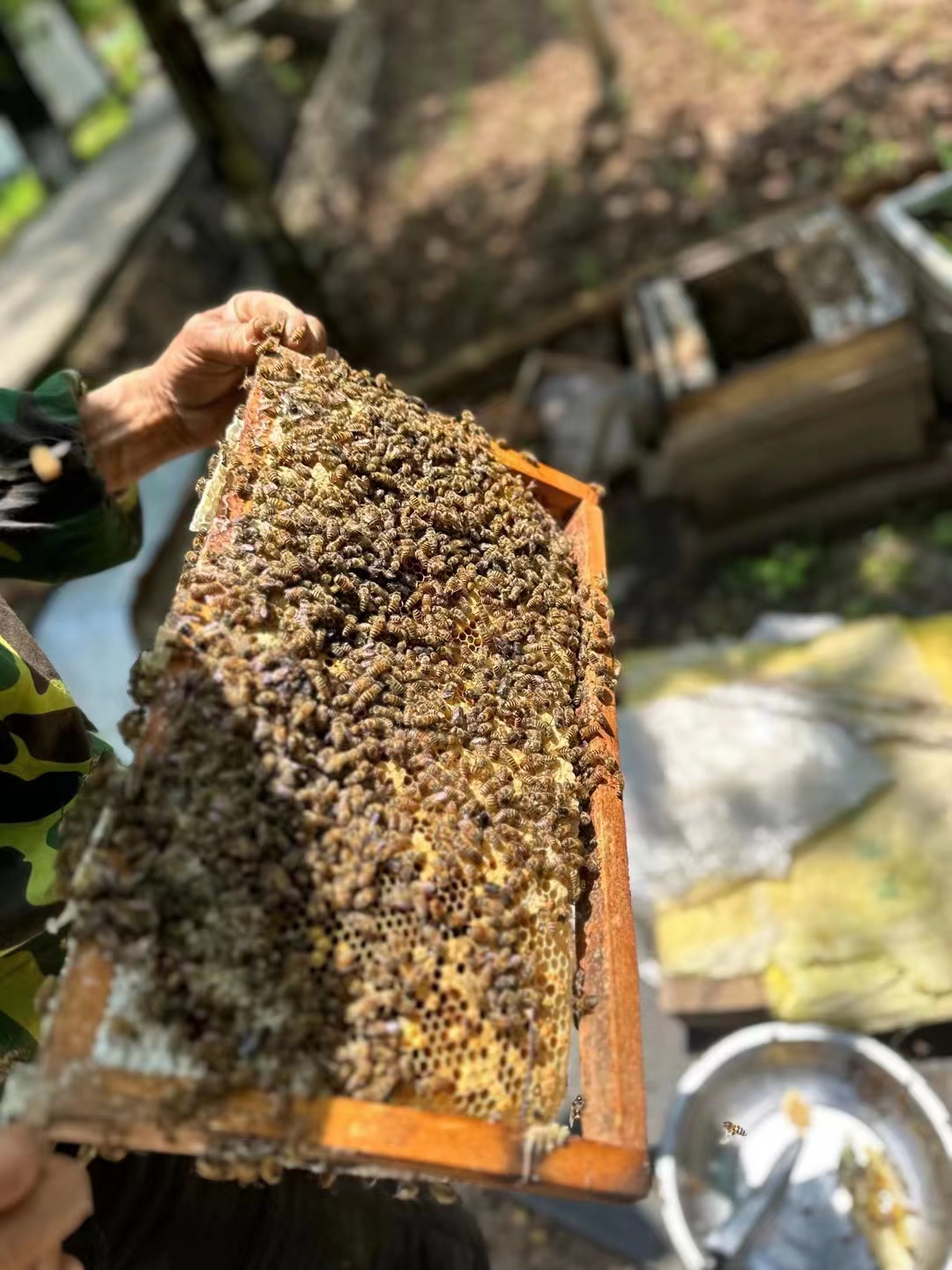 蜂蜜是不是含糖(蜂蜜是不是含糖量高的食物)