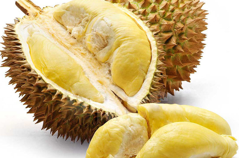 榴莲:水果之王的美味与健康功效90 榴莲,又名韶子,麝香猫果,是一种