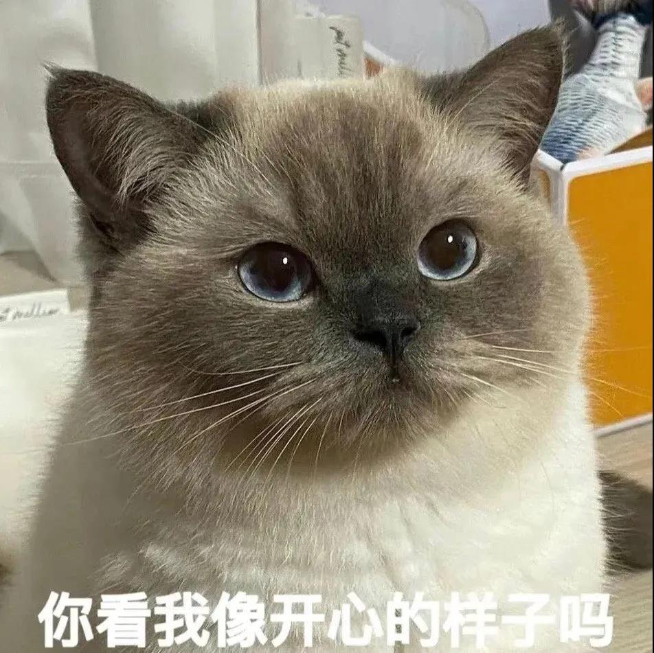 要努力 一位网友说到:在这个世界上,人们如同航行在茫茫海洋中的船只