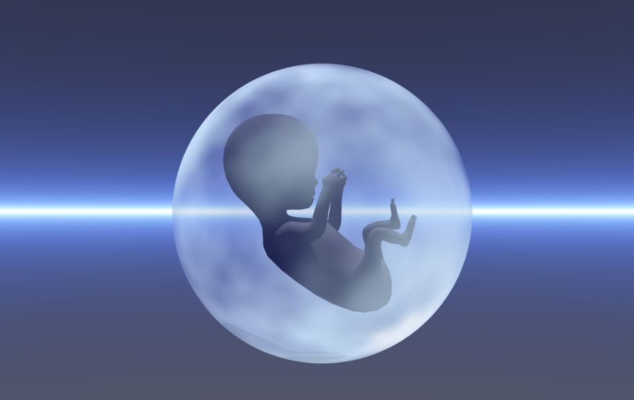 胚胎着床后多久会有胎心呢?