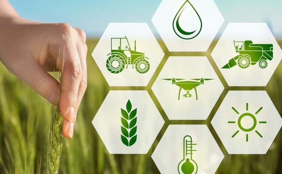 低碳农业是指在农业生产和管理过程中,尽可能减少二氧化碳和其他