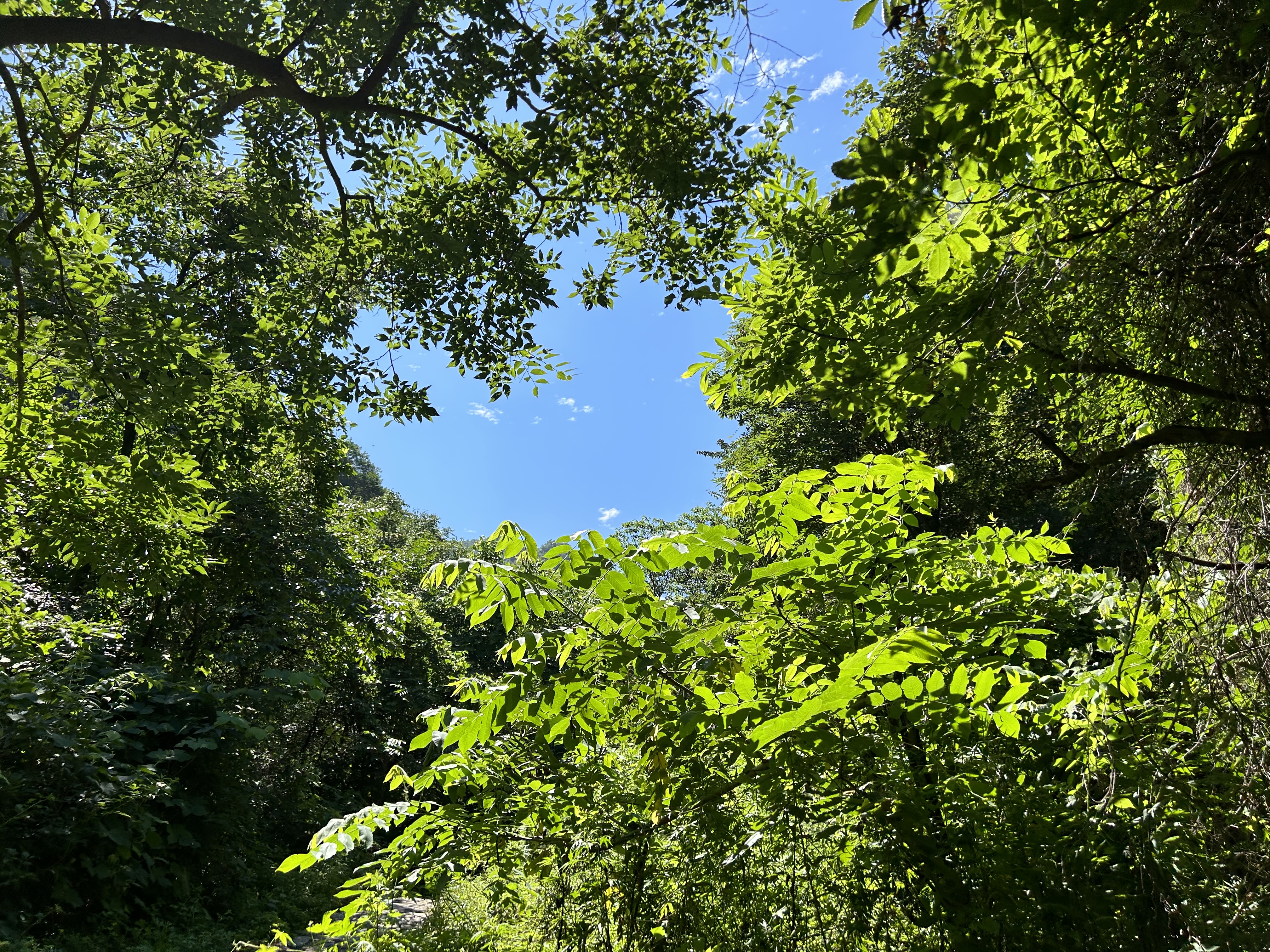 西安祥峪森林公园图片