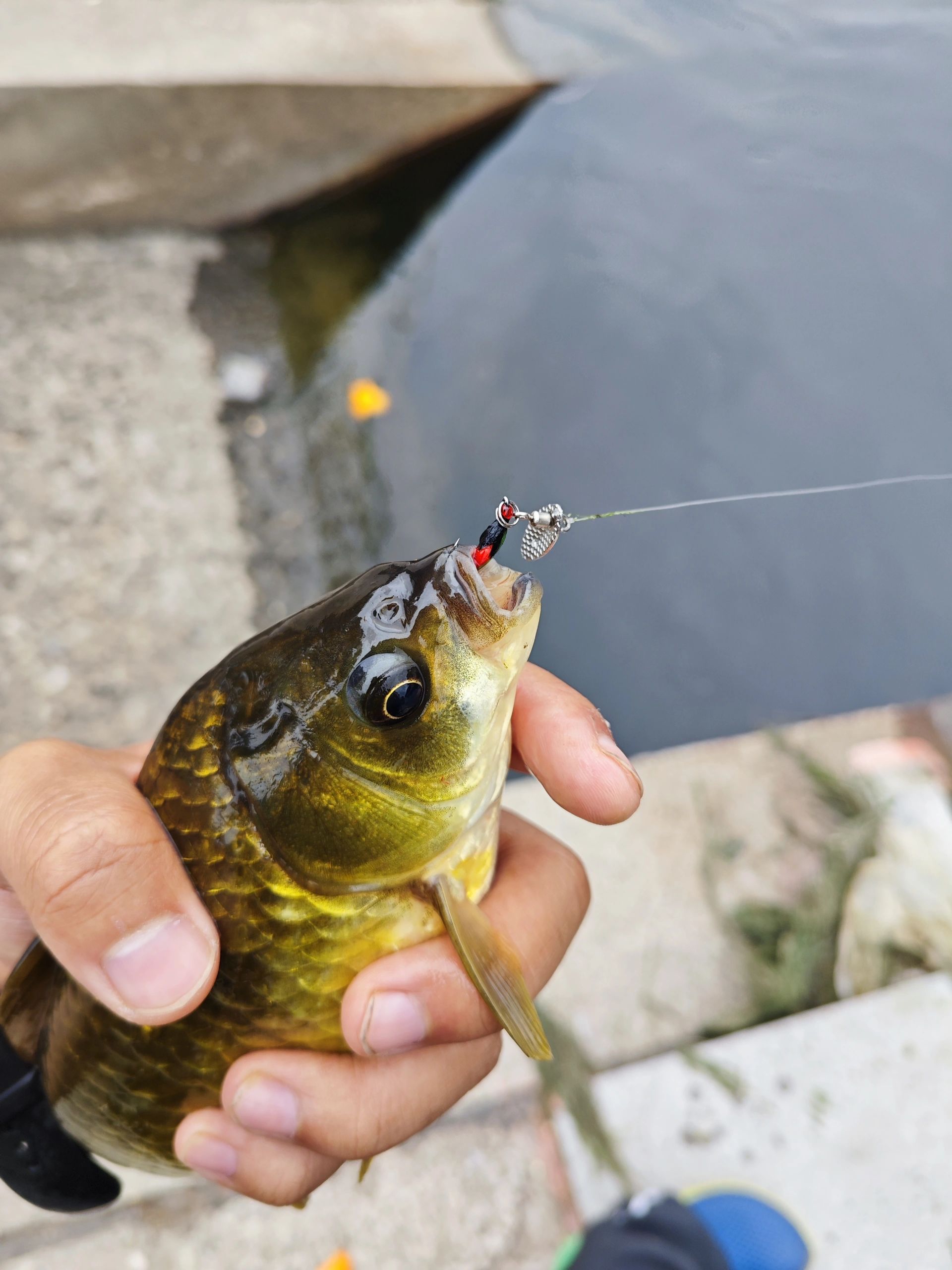 钓鱼可不仅仅是把鱼钩扔进水里,等待鱼儿上钩这么简单.