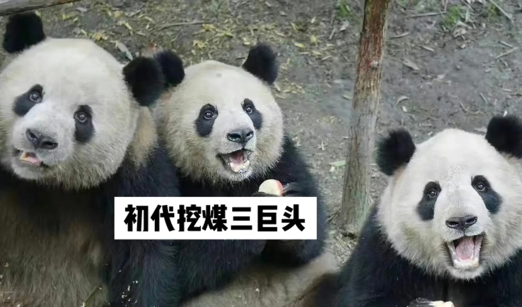 挖煤三巨头 考古挖煤三巨头小时候,虽然创业初期艰难,每天都脏兮兮的