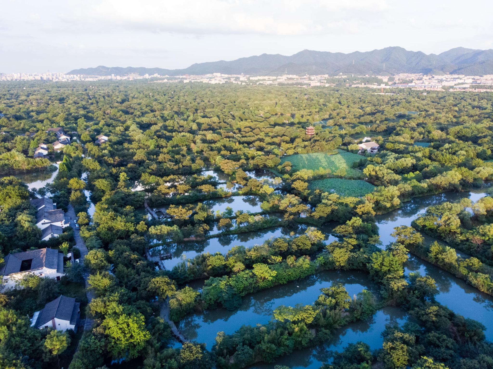 走进杭州西溪湿地,当地导游带你探秘自然美 哇,来到杭州一定不能错过
