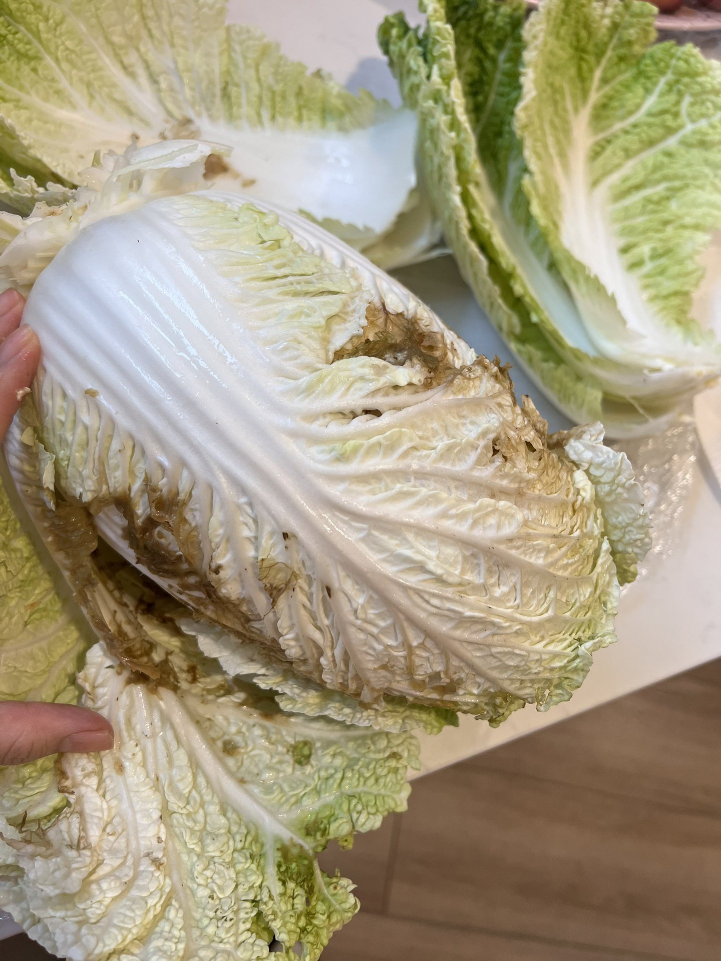 最近我发现我的大白菜软腐病很严重,叶子开始变黄,而且植株变得软软的