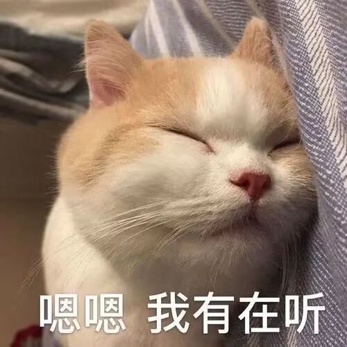 快来听我种草宝藏相机!