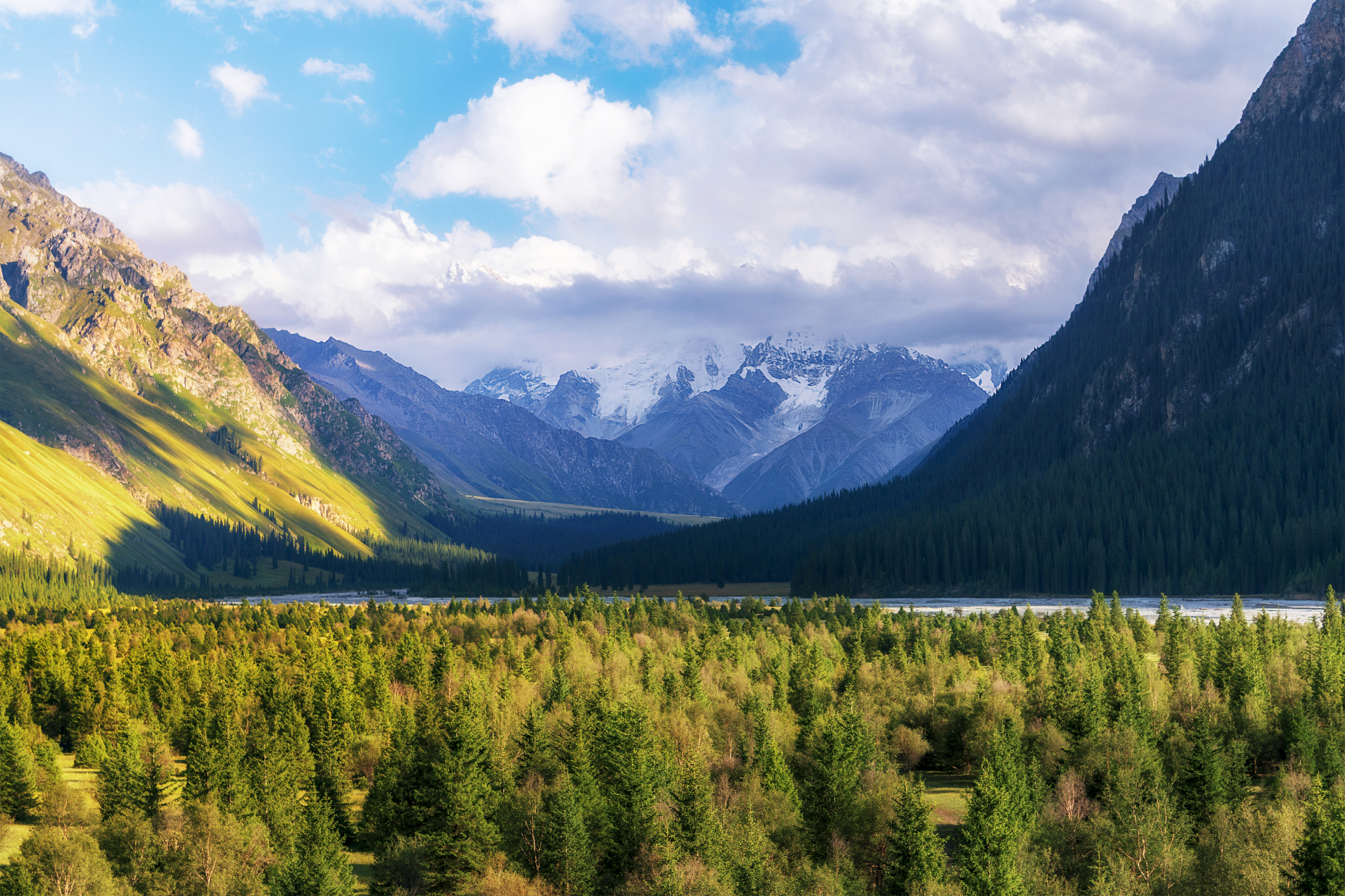 这里有壮观的峡谷,弯曲的公路,秀美的山林和一望无际的草原.