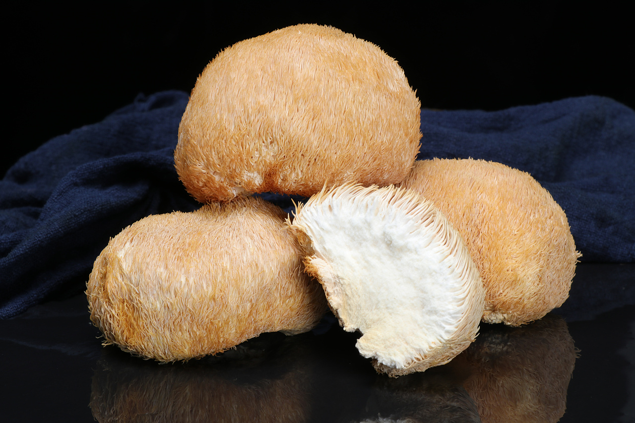 92头菇 01  03煲汤 92  水和猴头菇的比例大约是3:1,将猴头菇