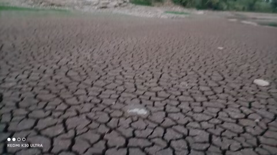 水库干涸,底部长草裂开,站上去如踏淤泥坑 这是去年夏天的时候我们