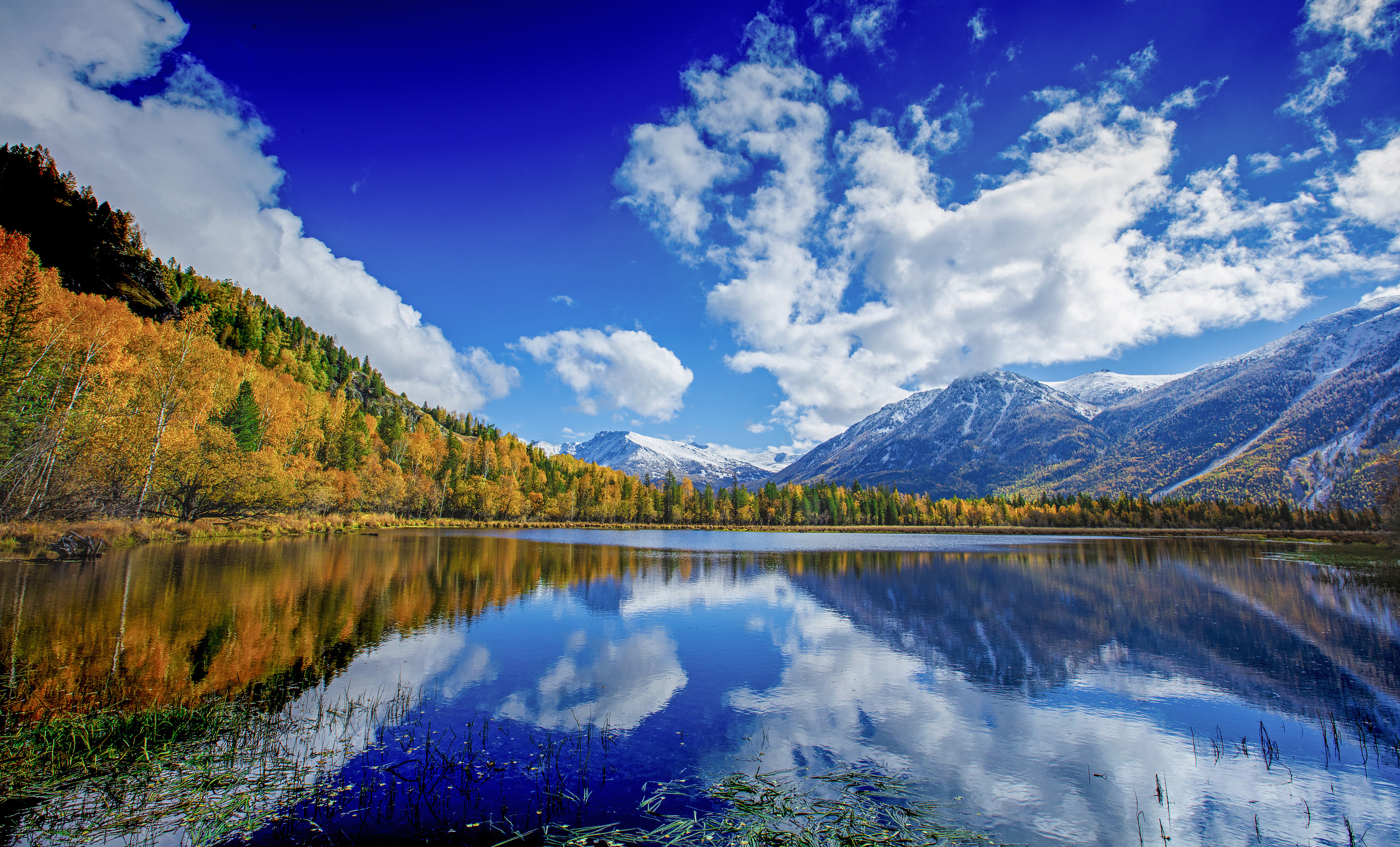 这里有壮观的峡谷,弯曲的公路,秀美的山林和一望无际的草原.