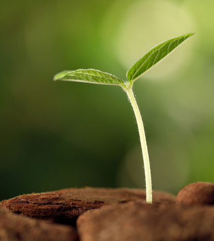 5句励志名言,激发人生动力99 995个启迪成长的句子,看完让你茅塞