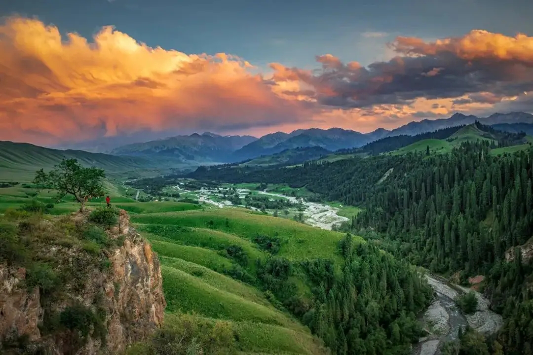 那么,库尔德宁草原将是你的理想之地.