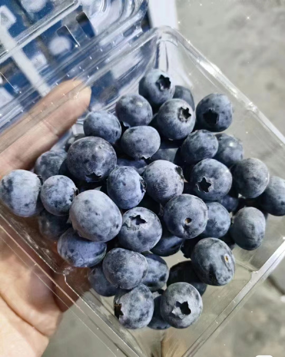 进口赞比亚鲜食蓝莓植物代理报关资质事项 一,新鲜水果进口报关单据 1