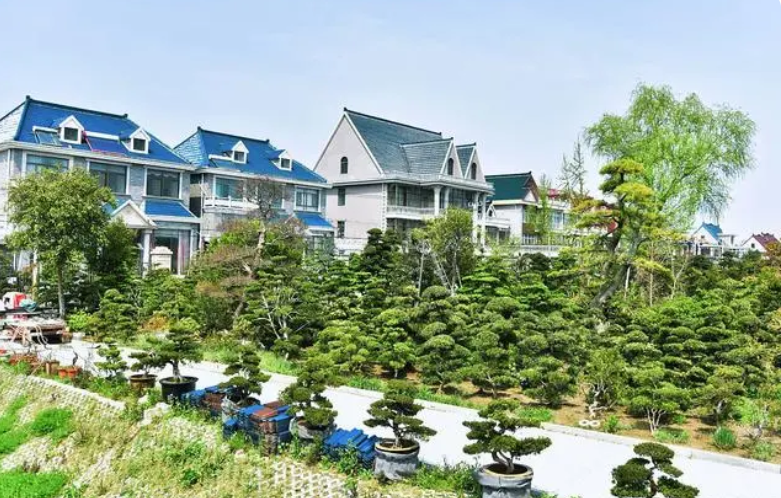 浙江一村资产500万以下是困难户#东阳花园村是个美丽富裕的农村,不仅