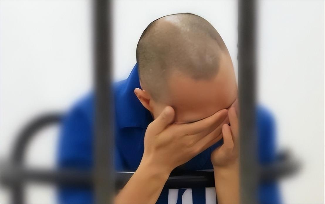 大学生掏鸟案当事人已出狱