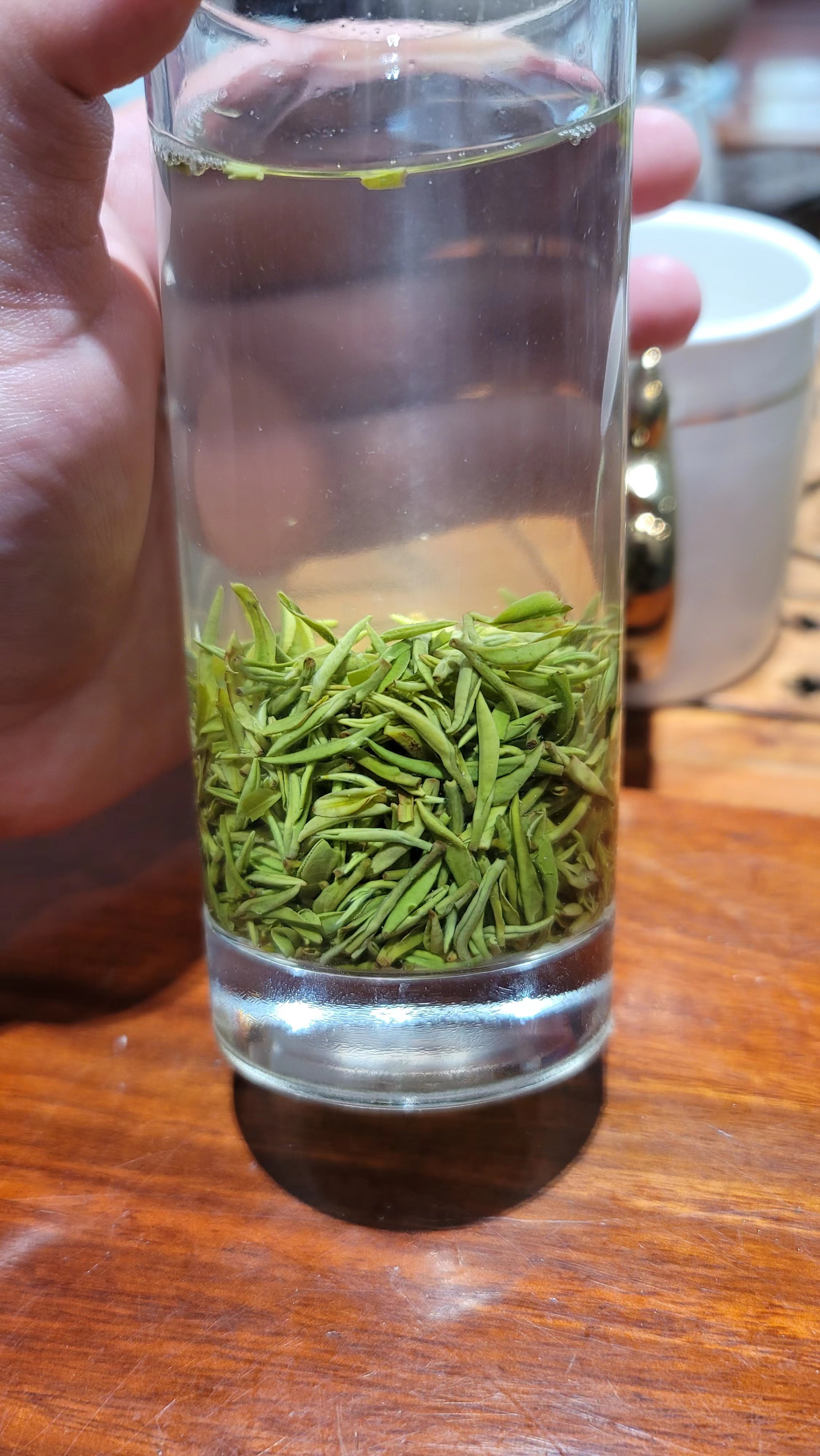 信阳毛尖,每天早上泡一杯,心情好一天 #信阳毛尖#信阳毛尖,每天早上泡