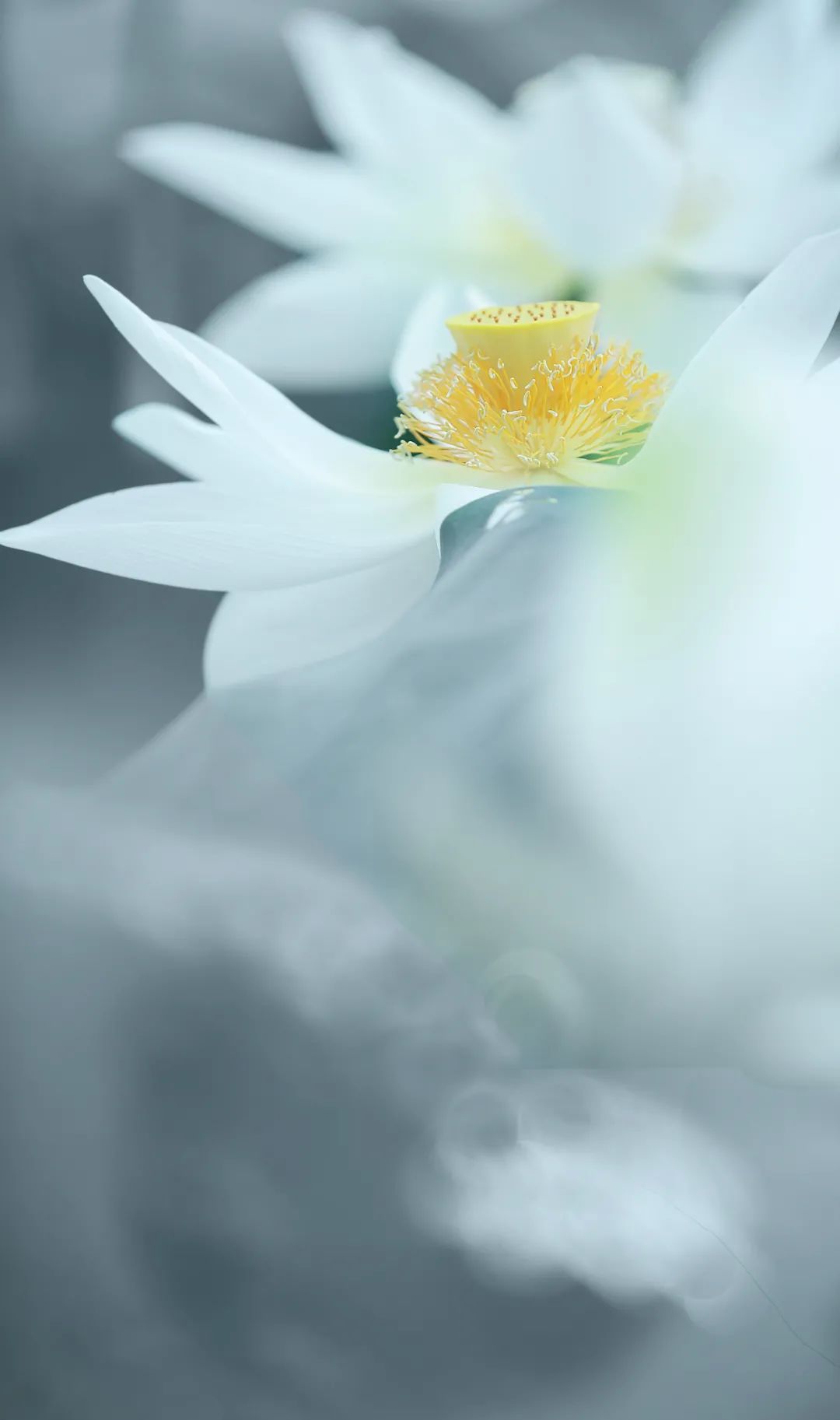 我说的低调有内涵,值得你深思!