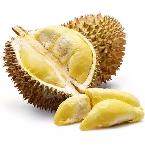如果榴莲未熟透,可以放入塑料袋中,加入香蕉或苹果等果实,24-48小时