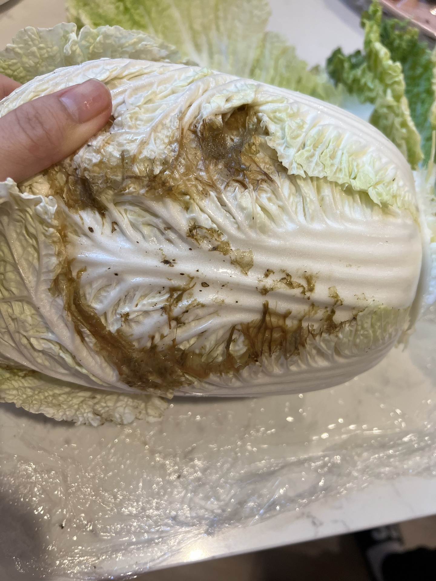 最近我发现我的大白菜软腐病很严重,叶子开始变黄,而且植株变得软软的