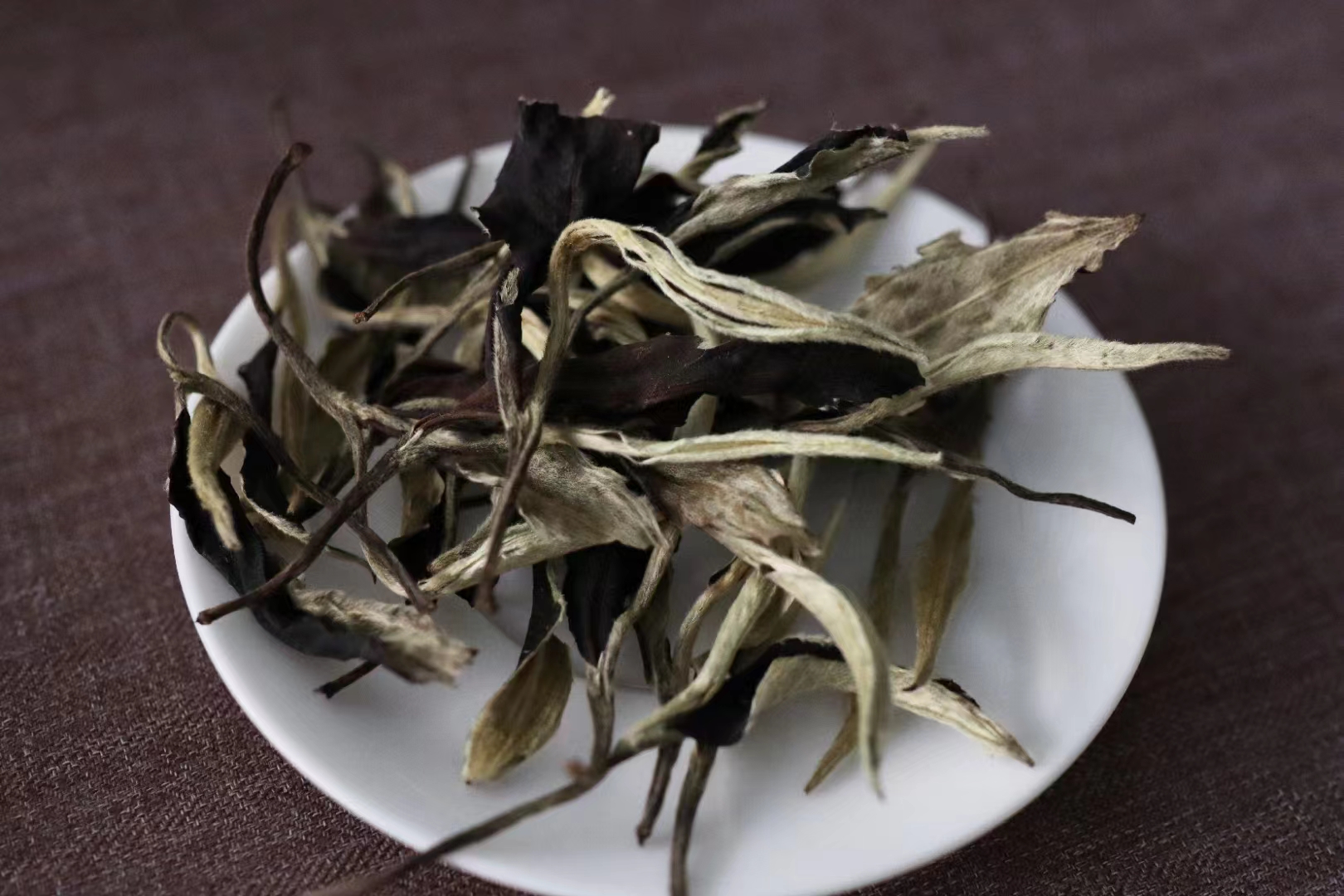 月光白 云南月光白白茶心中的白月光#茶