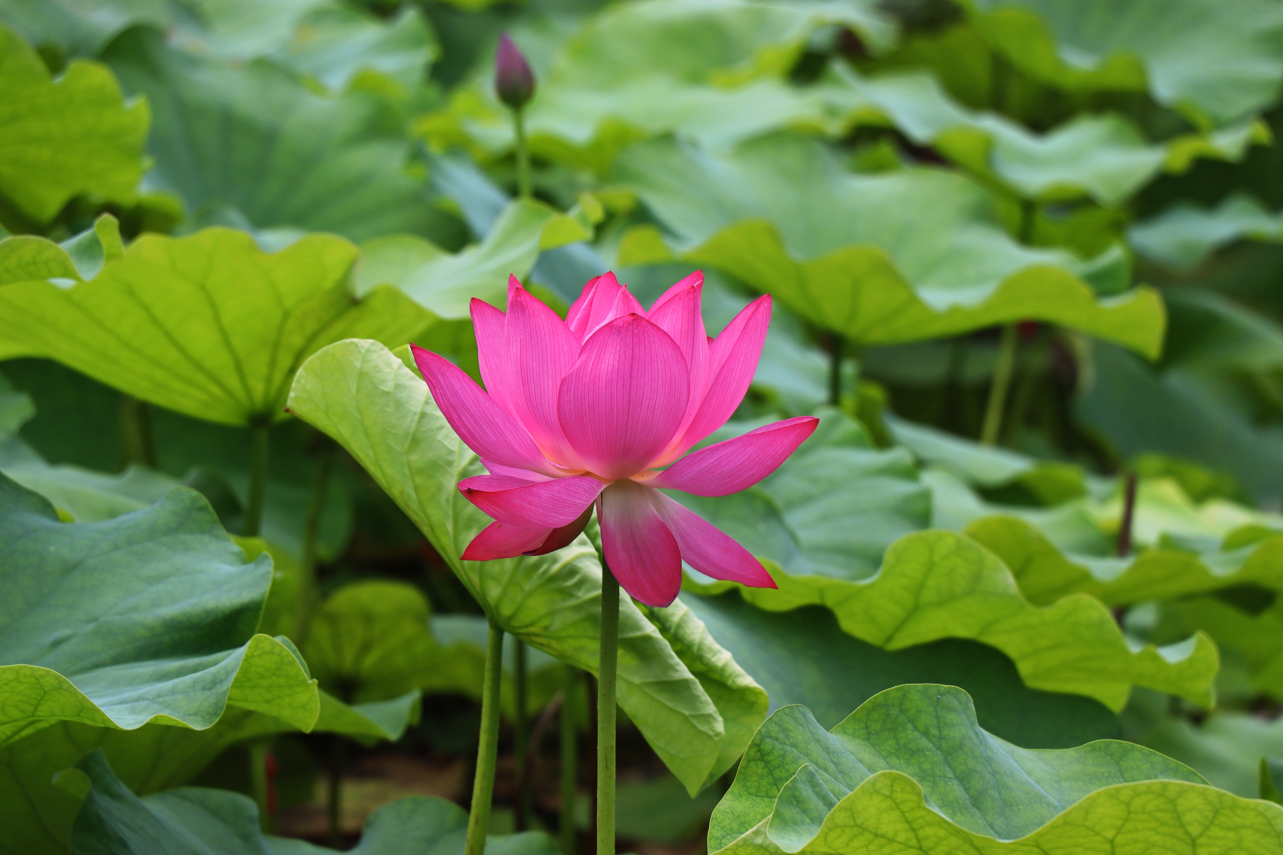 宁波北仑蛟山公园旅行攻略05美景打卡推荐 终于来到北仑蛟山公园