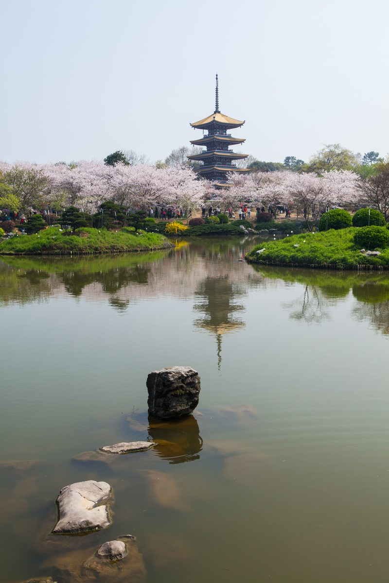 武汉东湖景点有哪些图片