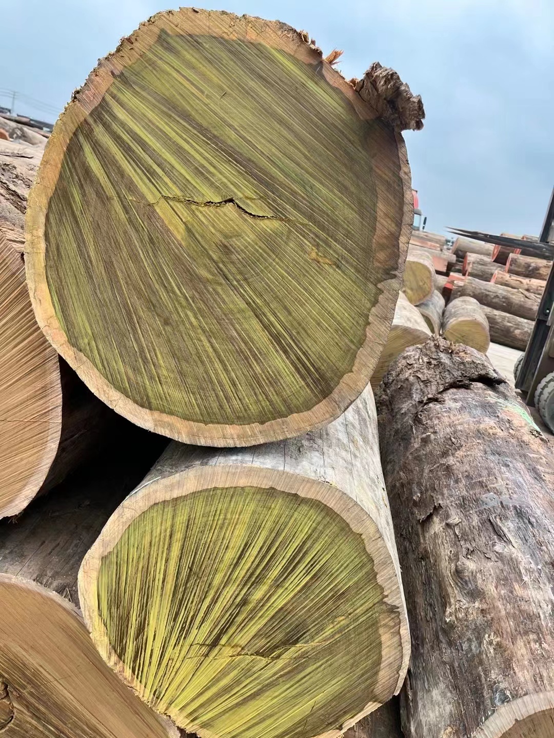 重蚁木是世界上质地密实的硬木之一,硬度是杉木的三倍